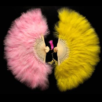 eventail plumes rose jaune collection