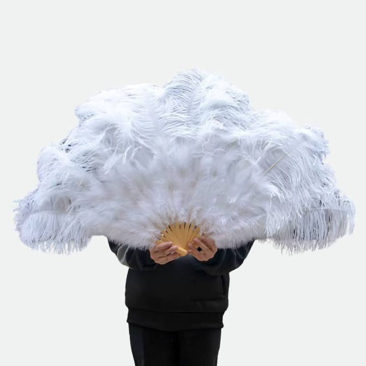 10 Pièces éventail Blanc, éventail De Mariage, éventail En Soie Blanche, Pour Mariage, Anniire