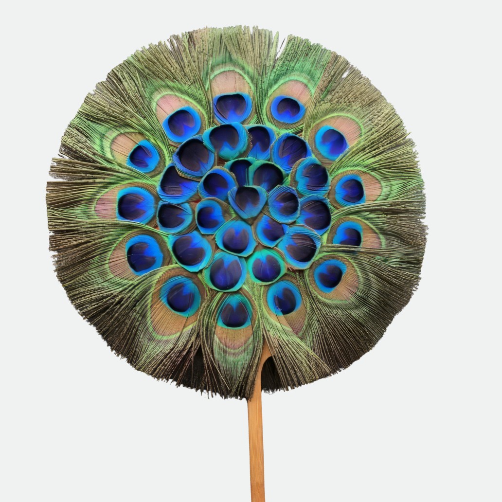 eventail plume de paon rond