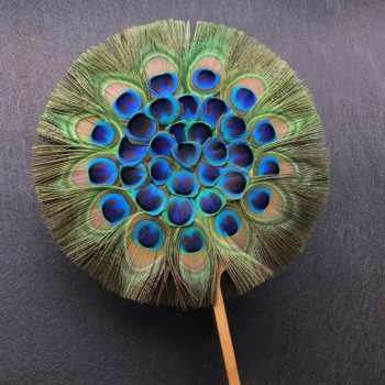 eventail plume paon 2026