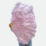Eventail Plume Rose Pale Geant