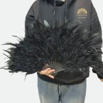 eventail plume noir