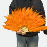 eventail plume orange